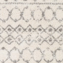 Aliyah Shag ALH-2302 Cream / Gray Rug