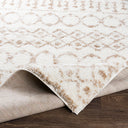 Aliyah Shag ALH-2303 Cream / Tan Rug