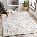 Aliyah Shag ALH-2303 Cream / Tan Rug