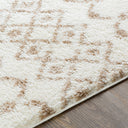 Aliyah Shag ALH-2303 Cream / Tan Rug