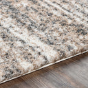 Aliyah Shag ALH-2307 Charcoal / Cream Rug