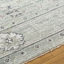 Almeria ALM-2305 Cream / Gray Rug