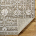 Almeria ALM-2306 Cream / Light Brown Rug