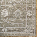 Almeria ALM-2306 Cream / Light Brown Rug