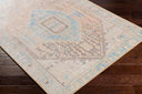 Alanya ALY-2306 Coral / Denim Rug