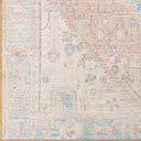 Alanya ALY-2306 Coral / Denim Rug