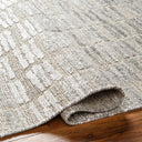 Amina AMA-2300 Gray / Light Beige Rug