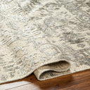 Amina AMA-2301 Beige / Ivory Rug