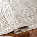 Amina AMA-2303 Beige / Light Sage Rug