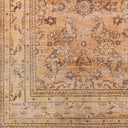 Amelie AML-2338 Black / Brown Rug