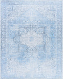 Amelie AML-2362 Denim / Ice Blue Rug