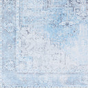 Amelie AML-2362 Denim / Ice Blue Rug