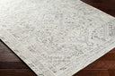 Amelie AML-2379 Charcoal / Light Brown Rug