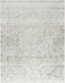 Amelie AML-2379 Charcoal / Light Brown Rug