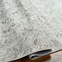 Amelie AML-2379 Charcoal / Light Brown Rug