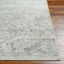 Amelie AML-2379 Charcoal / Light Brown Rug