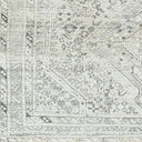 Amelie AML-2379 Charcoal / Light Brown Rug