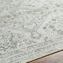 Amelie AML-2379 Charcoal / Light Brown Rug