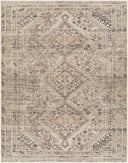 Amelie AML-2383 Black / Gray Rug