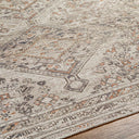 Amelie AML-2383 Black / Gray Rug