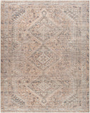Amelie AML-2384 Black / Cream Rug