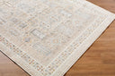 Amir AMR-2300 Beige / Cream Rug