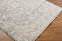 Amir AMR-2303 Beige / Cream Rug