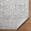 Amir AMR-2303 Beige / Cream Rug