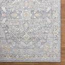 Amir AMR-2303 Beige / Cream Rug