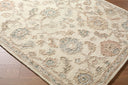 Arnold AOD-2301 Rug