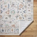 Alston AON-2301 Black / Brown Rug