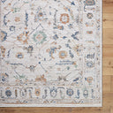 Alston AON-2301 Black / Brown Rug