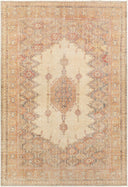 Antique One Of A Kind AOOAK-1048 Rug