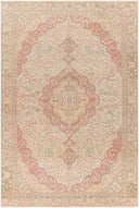 Antique One Of A Kind AOOAK-1059 Rug