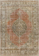 Antique One Of A Kind AOOAK-1117 Rug