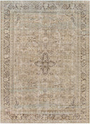 Antique One Of A Kind AOOAK-1127 Rug