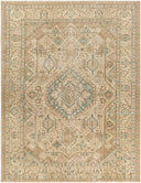 Antique One Of A Kind AOOAK-1137 Rug