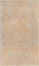 Antique One Of A Kind AOOAK-1149 Rug