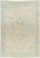 Antique One Of A Kind AOOAK-1560 Rug
