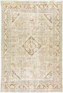 Antique One Of A Kind AOOAK-1579 Rug