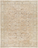 Antique One Of A Kind AOOAK-1655 Rug
