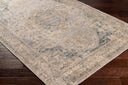 Aspendos APS-2303 Beige / Blue Rug