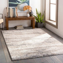 Andorra ARD-2300 Beige / Charcoal Rug