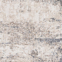 Andorra ARD-2300 Beige / Charcoal Rug