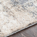 Andorra ARD-2300 Beige / Charcoal Rug
