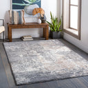 Andorra ARD-2302 Beige / Charcoal Rug
