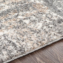 Andorra ARD-2302 Beige / Charcoal Rug