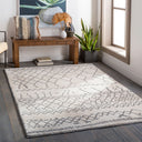 Andorra ARD-2303 Beige / Charcoal Rug