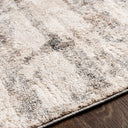 Andorra ARD-2305 Beige / Charcoal Rug