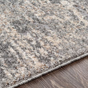 Andorra ARD-2306 Beige / Charcoal Rug